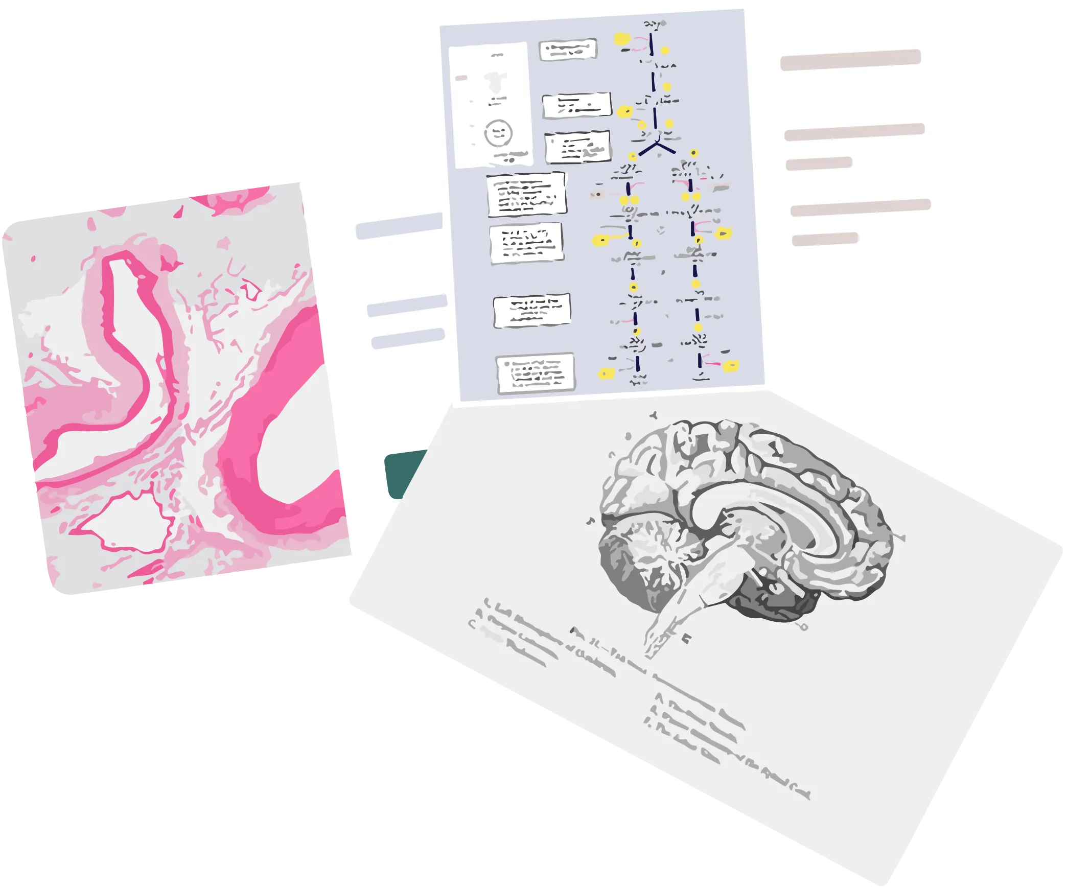 Medical Cards